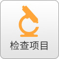 检查项目